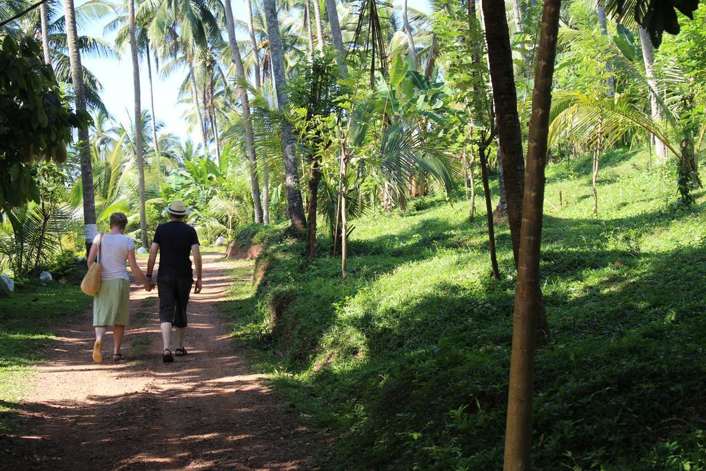 Jim'S Farm Villas Madawala Ngoại thất bức ảnh