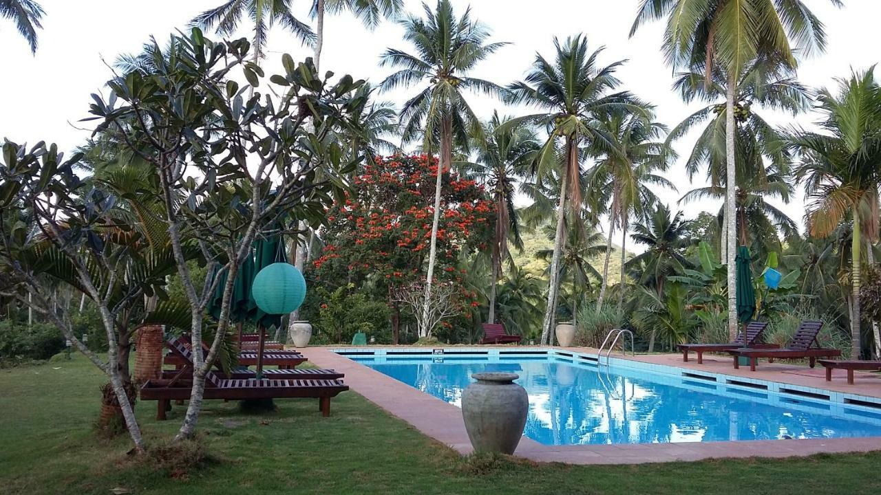 Jim'S Farm Villas Madawala Ngoại thất bức ảnh